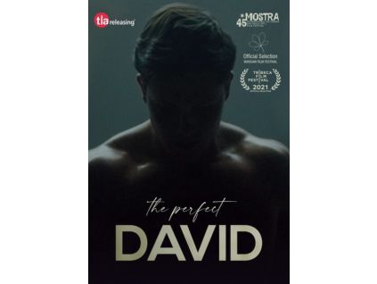 2111817 the perfect david dvd