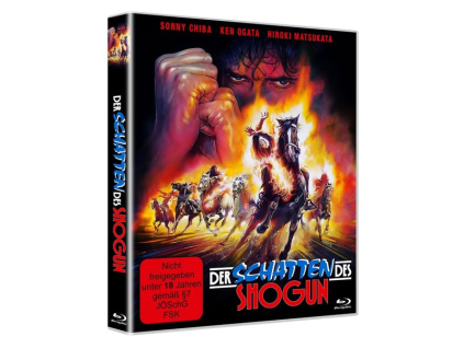 Der Schatten des Shogun (Blu-ray)