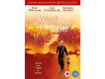 What Dreams May Come DVD