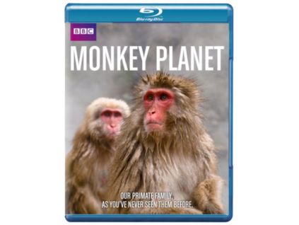 2209110 monkey planet blu ray