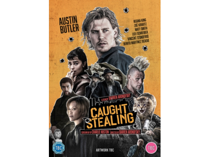 Caught Stealing DVD