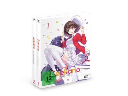 Saekano - How to Raise a Boring Girlfriend Staffel 1 (Gesamtausgabe) (DVD)