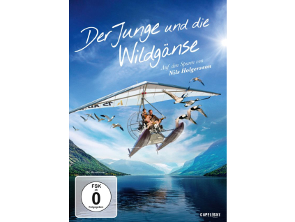 Der Junge und die Wildgänse (DVD)