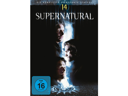 Supernatural Staffel 14 (DVD)