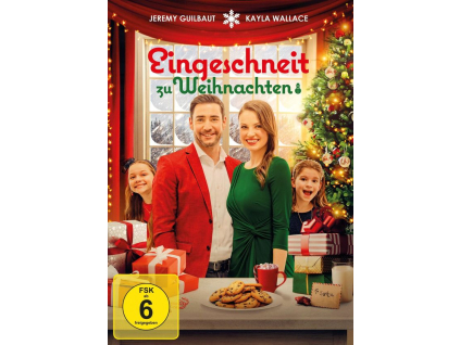 Eingeschneit zu Weihnachten (DVD)