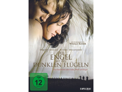 Der Engel mit den dunklen Flügeln (DVD)