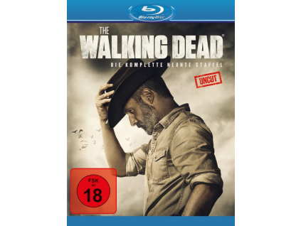 The Walking Dead Staffel 9 (Blu-ray)