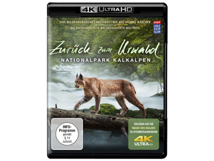 Zurück zum Urwald - Nationalpark Kalkalpen (Ultra HD Blu-ray)