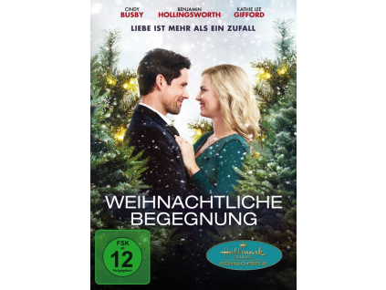 Weihnachtliche Begegnung - Liebe ist mehr als ein Zufall (DVD)