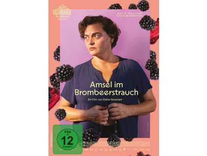 Amsel im Brombeerstrauch (DVD)
