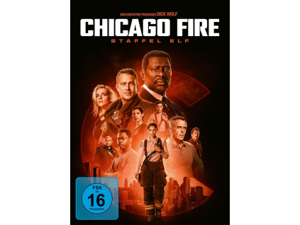 Chicago Fire Staffel 11 (DVD)