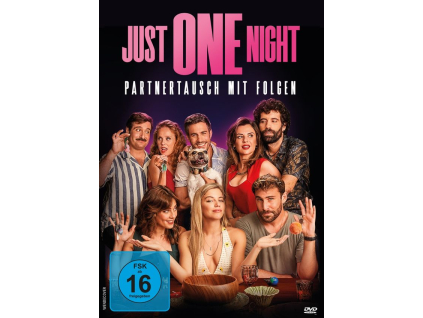 Just One Night - Partnertausch mit Folgen (DVD)