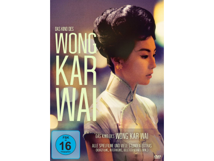 Das Kino des Wong Kar Wai (DVD)