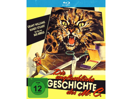 Die unglaubliche Geschichte des Mr. C (Blu-ray)