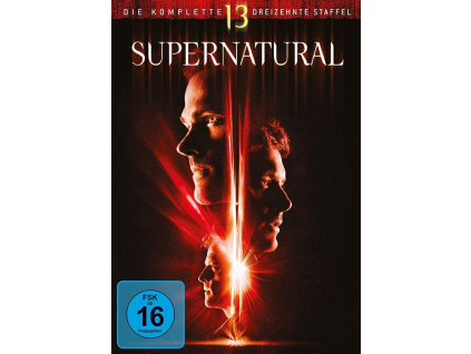 Supernatural Staffel 13 (DVD)
