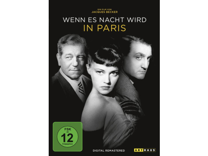 Wenn es Nacht wird in Paris (DVD)