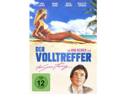 Der Volltreffer (DVD)