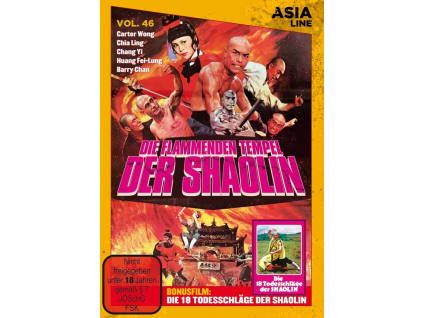 Die flammenden Tempel der Shaolin (DVD)