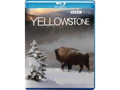 2267868 yellowstone blu ray