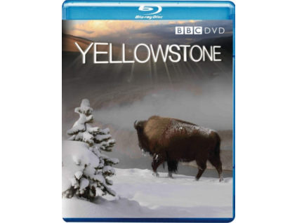 Yellowstone Blu-Ray