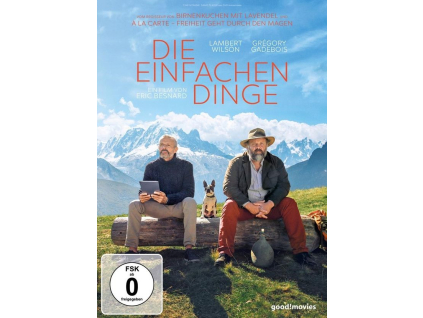 Die einfachen Dinge (DVD)