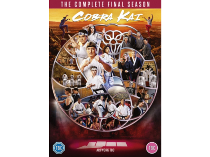 Cobra Kai Season 6 DVD