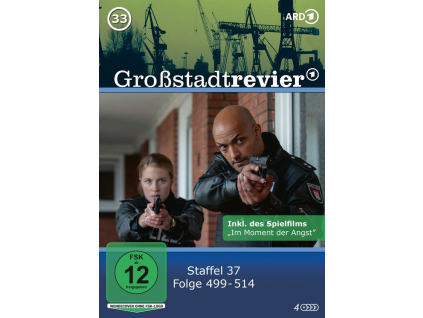 Großstadtrevier Box 33 (DVD)
