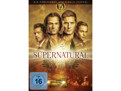 Supernatural Staffel 15 (finale Staffel) (DVD)