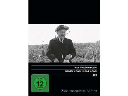 Grosse Vögel, kleine Vögel (DVD)