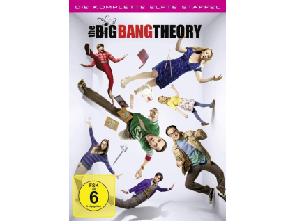 The Big Bang Theory Staffel 11 (DVD)
