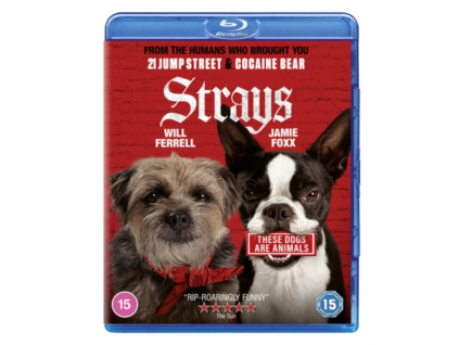 Strays Blu-Ray