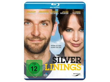 Silver Linings (Blu-ray)