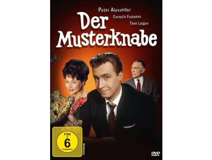 Der Musterknabe (DVD)
