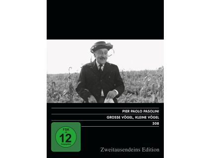 Grosse Vögel, kleine Vögel (DVD)