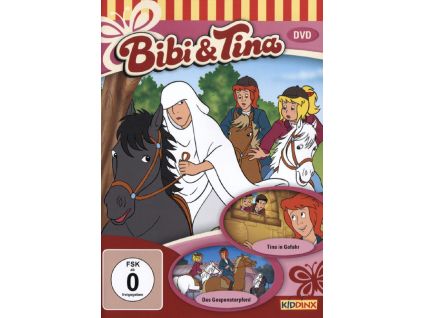 Bibi und Tina DVD 4 (DVD)