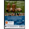 all creatures great adn small series two dvd