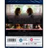 the souvenir part 2 blu ray