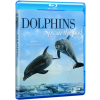 Dolphins - Spy In The Pod Blu-Ray