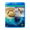 A Year On Planet Earth Blu-Ray