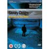 1671498 stray dogs dvd
