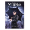 Wednesday Season 1 DVD
