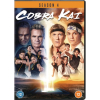 Cobra Kai Season 4 DVD