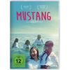 1955109 mustang dvd