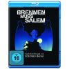 2051781 brennen muss salem blu ray