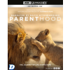 David Attenborough - Parenthood 4K Ultra HD