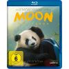2167221 moon der panda blu ray