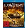 2194842 the harvesting blu ray