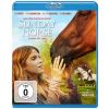 2194941 sunday horse blu ray