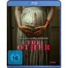 2220264 the other 2025 blu ray