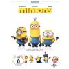 2237640 minions dvd